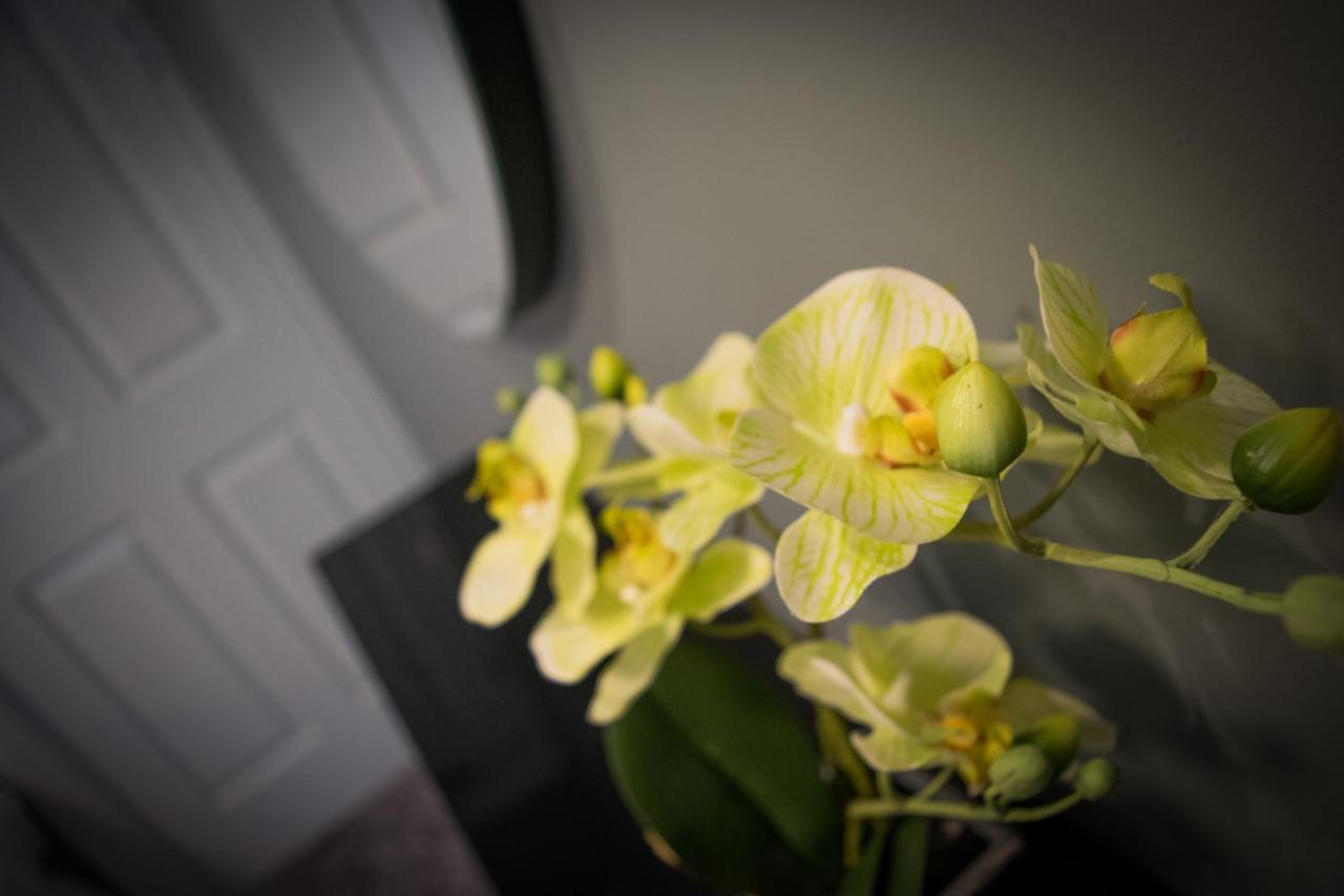Topper'S Rooms Guest Accommodation Carrick-on-Shannon Luaran gambar